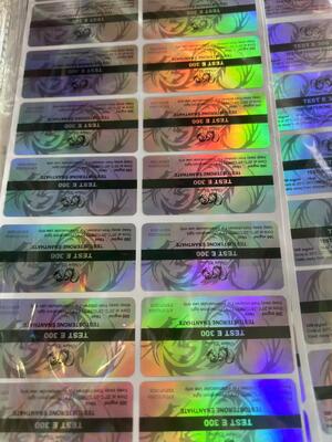 Test E 300mg Steroides Vial Labels  Glossy Finish Custom Design Printing